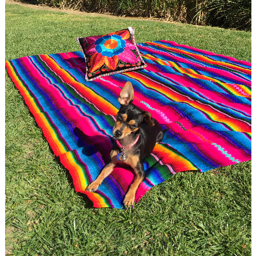 Hacienda Sarape Striped Colorful Blanket - Guatemala